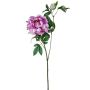 Ramo artificiale Peonia ZEXLIN, viola-rosa, 70 cm