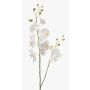 Ramo di orchidea artificiale LAHNA, bianco, 95cm, Ø5-10cm
