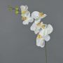 Ramo decorativo di orchidea Phalaenopsis LANUA, crema, 75 cm