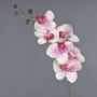Ramo decorativo di orchidea Phalaenopsis LANUA, rosa crema, 75 cm