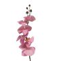 Ramo decorativo di orchidea Phalaenopsis LANUA, rosa, 75 cm