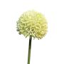 Allium artificiale BAILIN, verde crema, 40 cm