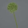 Allium artificiale BAILIN, verde, 40 cm
