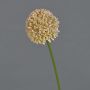 Allium artificiale BAILIN, rosa-crema, 40 cm