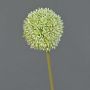 Allium artificiale BAILIN, verde crema, 65 cm