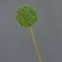 Allium artificiale BAILIN, verde, 65 cm