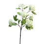 Ramo artificiale di viburnum WEIWAN, crema, 60 cm