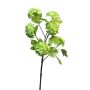 Ramo artificiale di viburnum WEIWAN, verde chiaro, 60 cm