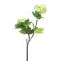 Ramo decorativo di viburnum ALUO, verde chiaro, 50 cm
