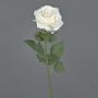 Rosa artificiale KAILIN, crema, 65 cm