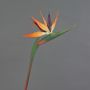Fiore decorativo di Strelitzia DONGLIN, arancione-viola, 85 cm