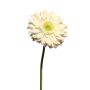 Gerbera artificiale QIUDONG, crema, 50 cm