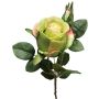 Rosa artificiale BARIADY, verde-rosa, 35 cm