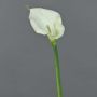 Calla artificiale ZHILONG, bianco, 55 cm