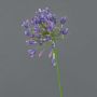 Agapanthus decorativo ASONG, lilla-blu, 75 cm