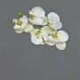 Ramo artificiale di orchidea Phalaenopsis SONGYA, bianco, 55 cm