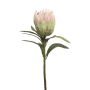 Protea decorativa JIAHUI, rosa-verde, 70 cm