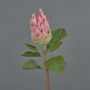 Protea artificiale SHUHUI, rosa, 60 cm