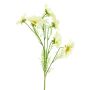 Ramo decorativo di cosmos YUNIAN, crema, 75 cm