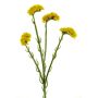 Limonio artificiale RANYI, giallo, 65 cm