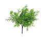 Erba decorativa di eucalipto TINGYU su stelo, verde, 30cm