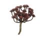 Echeveria macdougallii artificiale ULUO su stelo, rosso bordeaux, 19cm