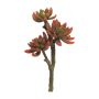 Echeveria elegans artificiale FEIFANG su stelo, rosso-verde, 30cm