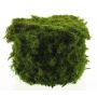 Pietre decorative di muschio YUELAN, verde, 13x10cm