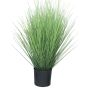 Erba finta di panicum virgatum YAMIN, verde, 60 cm