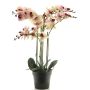 Orchidea Phalaenopsis artificiale CHENXU, rosa-crema, 60 cm