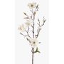 Ramo di magnolia artificiale LILO, crema, 75cm, Ø5-9cm