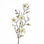 Ramo di magnolia artificiale LILO, crema, 75cm, Ø5-9cm