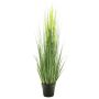 Erba decorativa di calamagrostis RULIN con spighe, vaso decorativo, giallo-verde, 130cm