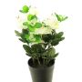 Azalea artificiale JINGSHU, crema, 25 cm