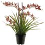 Orchidea Cymbidum artificiale XINGUI, rosso scuro, 70 cm