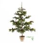 Abete di nordmann finto JUSTUS, pigne, vaso decorativo, 90cm, Ø55cm