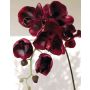 Ramo artificiale di orchidea phalaenopsis DAJANA, rosso bordeaux, 115cm