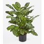 Calathea sintetica BADU, piccolo, verde-giallo, 80cm
