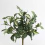 Cordilinea sintetica TAKARA su stelo, verde-bianco, 35cm
