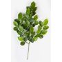 Ramo di faggio artificiale ERICK, verde, 75cm