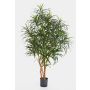Dracaena anita artificiale KAYLIN, tronchi naturali, verde, 120cm