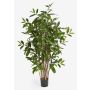 Dracena surculosa artificiale SIMBA tronchi naturali, verde 120cm