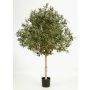Olivo artificiale NIKOLAS, tronco naturale, frutti, verde, 180cm