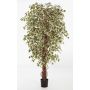 Albero di ficus finto DAKU, tronchi naturali, verde-bianco, 90cm
