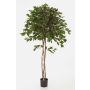 Ficus exotica artificiale KURO, tronchi naturali, verde, 180cm