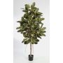 Albero della gomma finto DEVI tronco naturale, verde-bianco 210cm