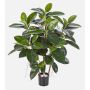 Ficus Elastica artificiale NOVA, tronchi veri, verde, 90cm