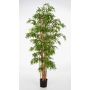 Albero di bambù artificiale KAITO, tronchi veri, verde, 200cm