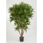 Dracaena reflexa finta AMELIA, tronchi veri, verde, 145cm