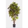 Croton goldfinger artificiale BEQA, tronchi veri, colorato, 120cm